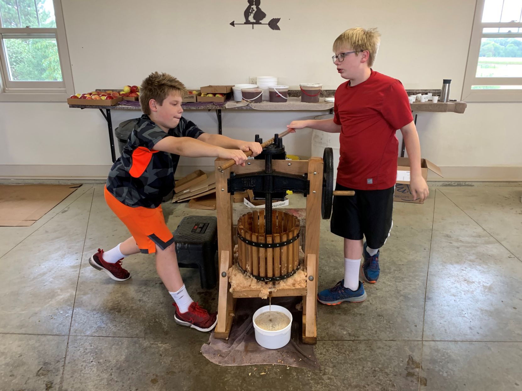 Apple cider press